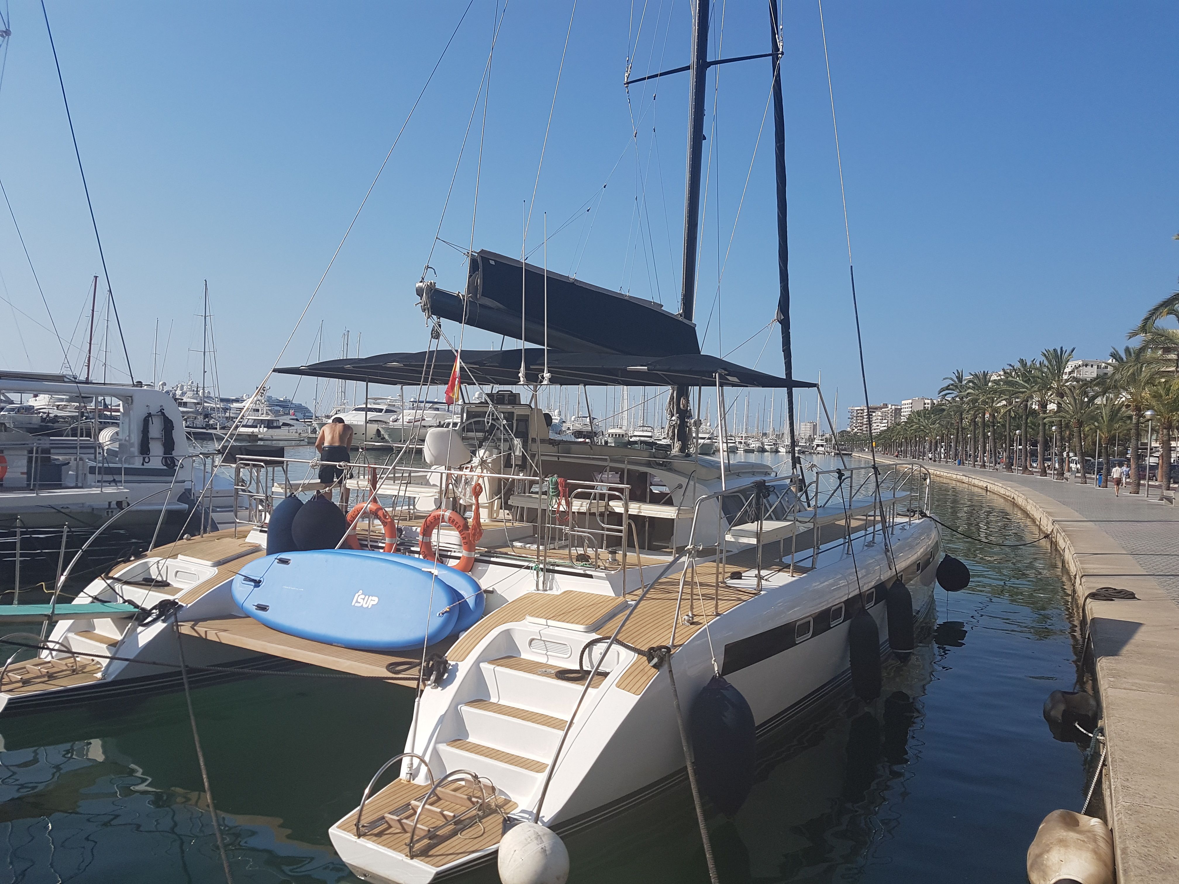 Freebird 50 | Magic 5