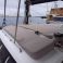 Freebird 50 | Magic 5