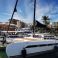 Freebird 50 | Magic 5