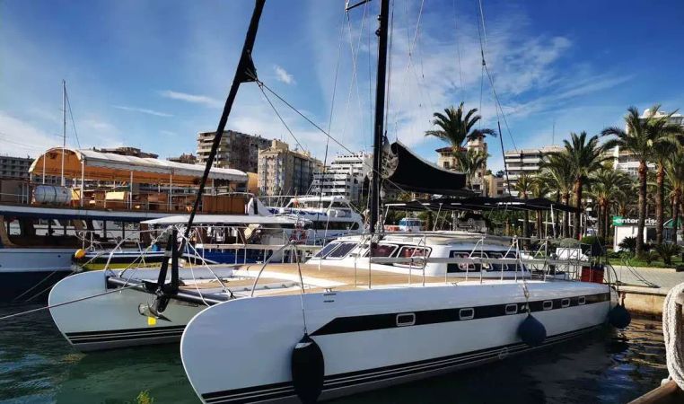 Freebird 50 | Magic 5