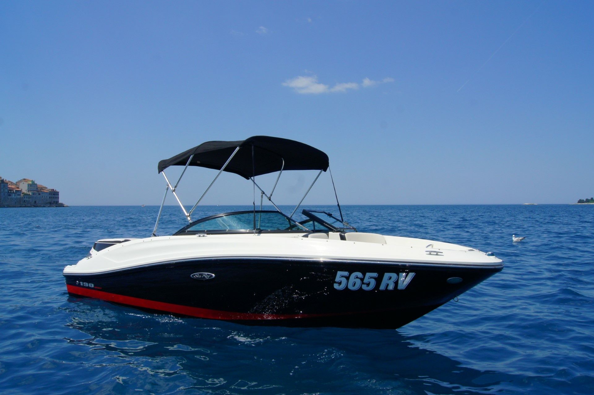 Sea Ray 190 | Sport - Rovinj