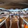 Bavaria Cruiser 46 | Viribus Unitis