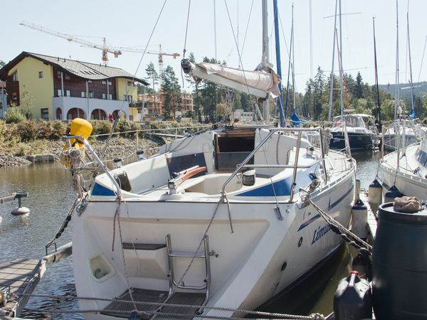 Bavaria 320 | Limulus