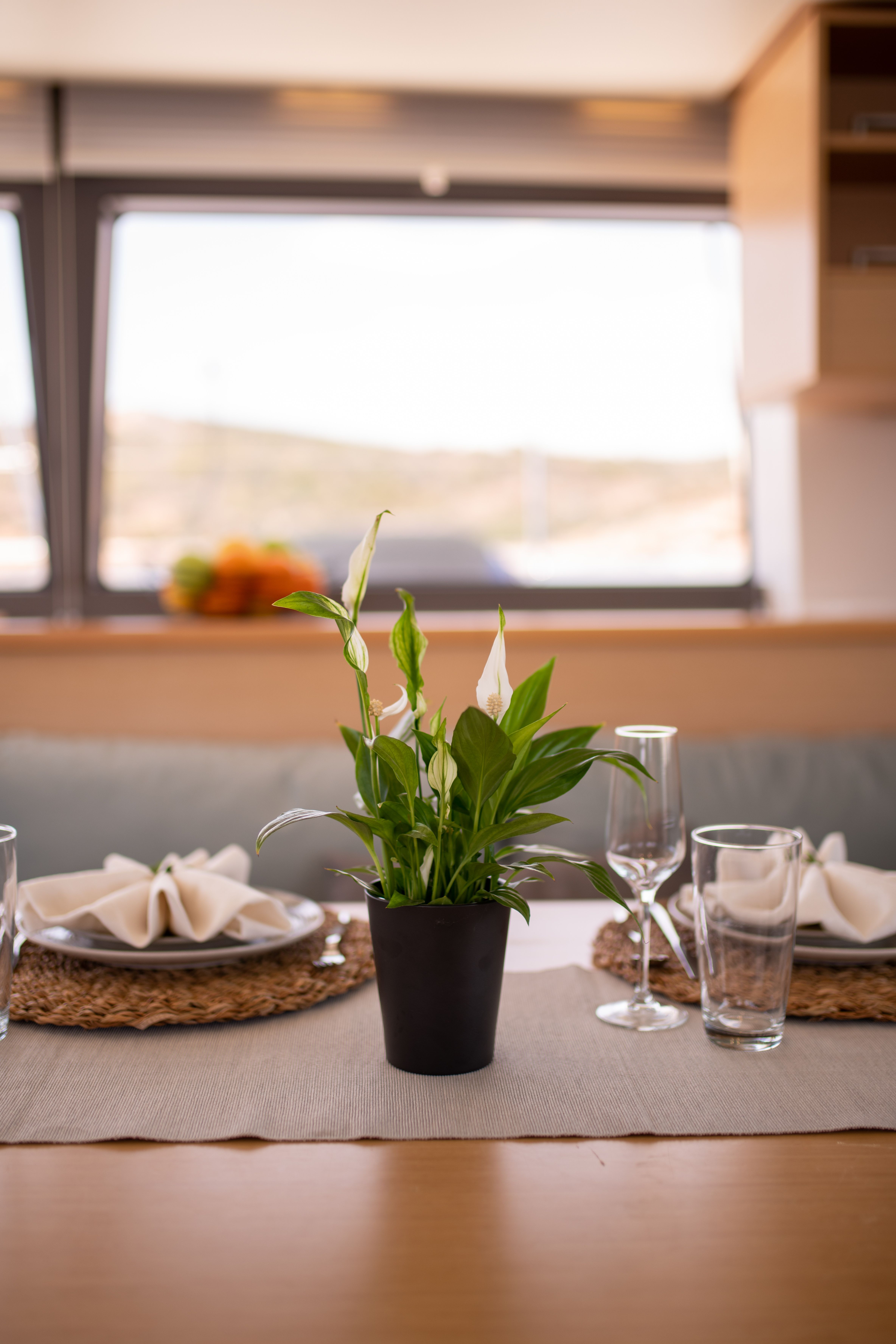 Lagoon 560 S2 | For Sail