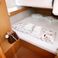 Dufour 460 GL | Divna