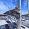 Dufour 520 GL | Maverick