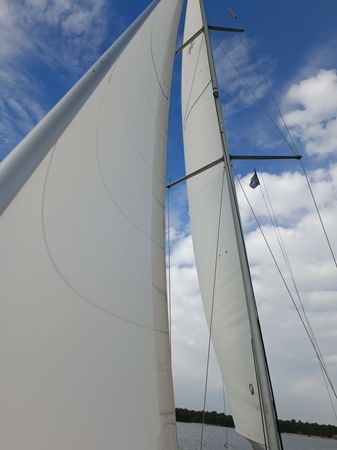 Salona 380 | Navis Celere