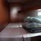 Dufour 460 GL | Ilha Grande