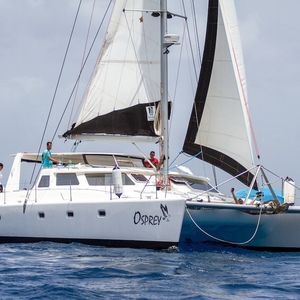 Picture of Voyage 520 | Osprey