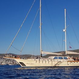 Custom Built 98 | Aegean Schatz