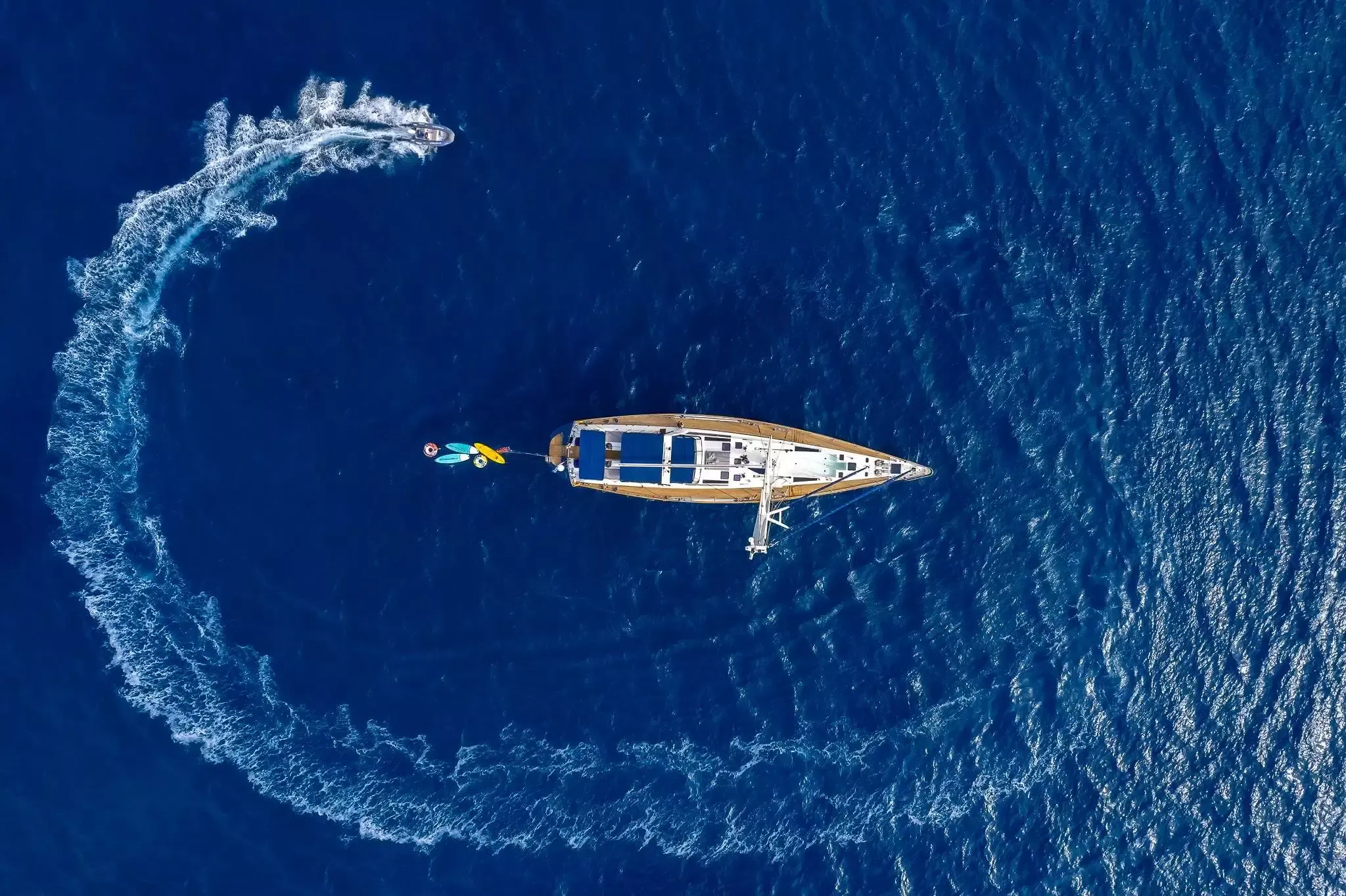 Dynamique 110 | Amadeus