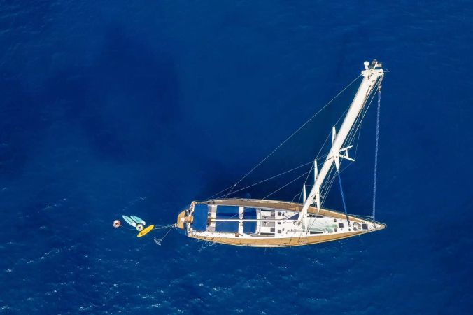 Dynamique 110 | Amadeus