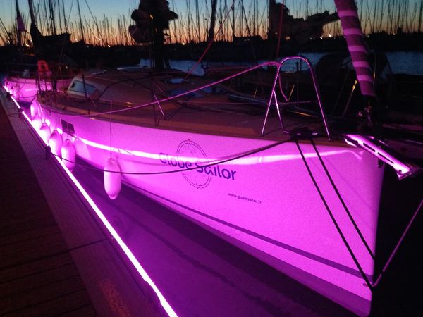 Pogo 12.50 | Purple Rain