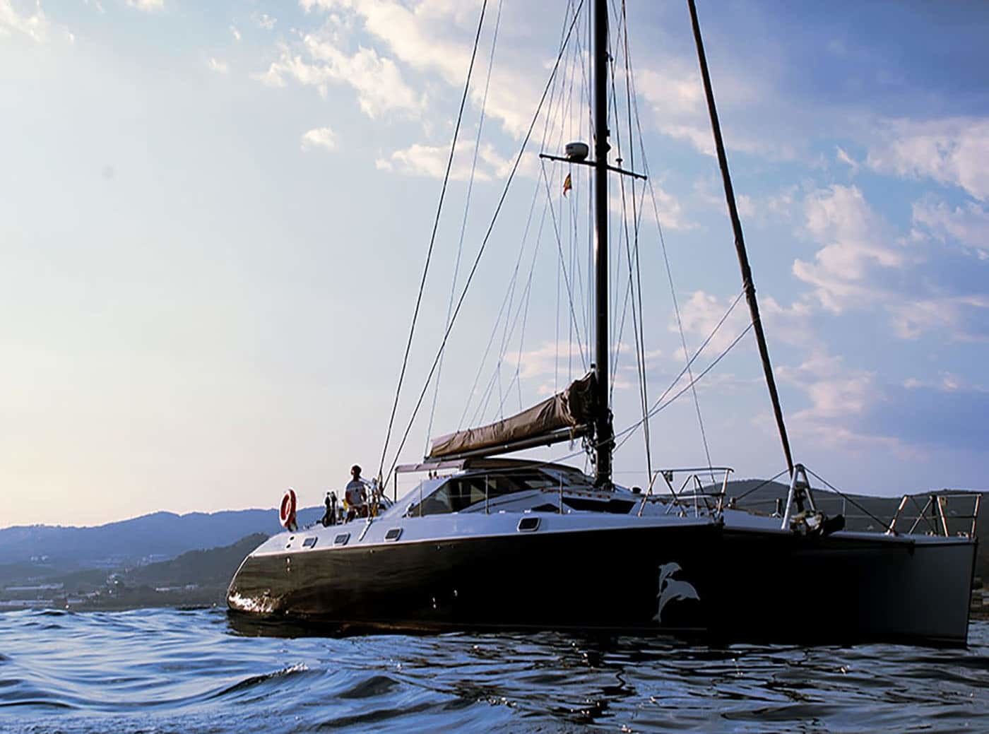 Privilege 51 | Montagu