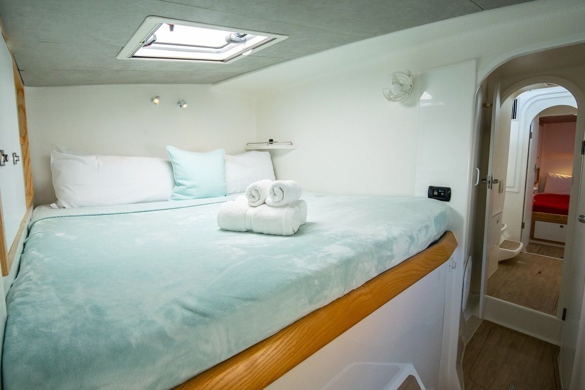 Voyage 480 | Endless Summer