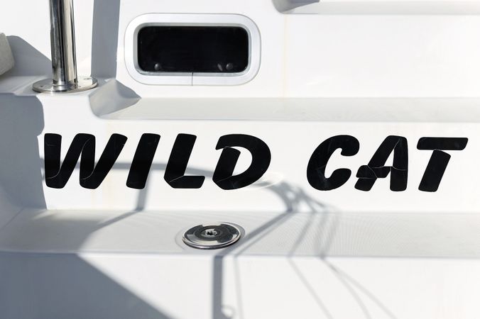 Lagoon 40 | Wild Cat