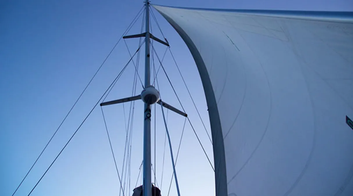 Voyage 500 | Walkabout