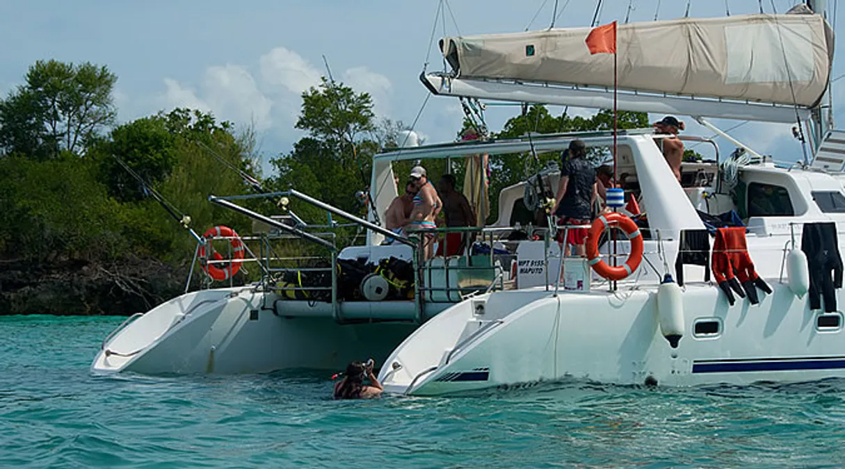 Voyage 500 | Walkabout