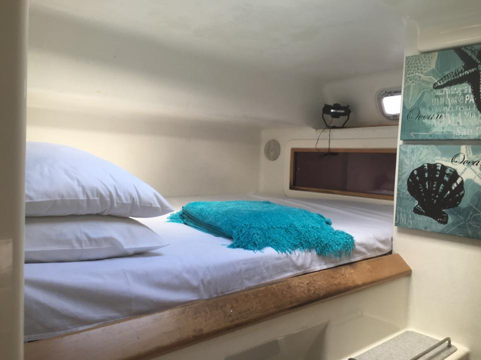 Voyage 500 | Walkabout