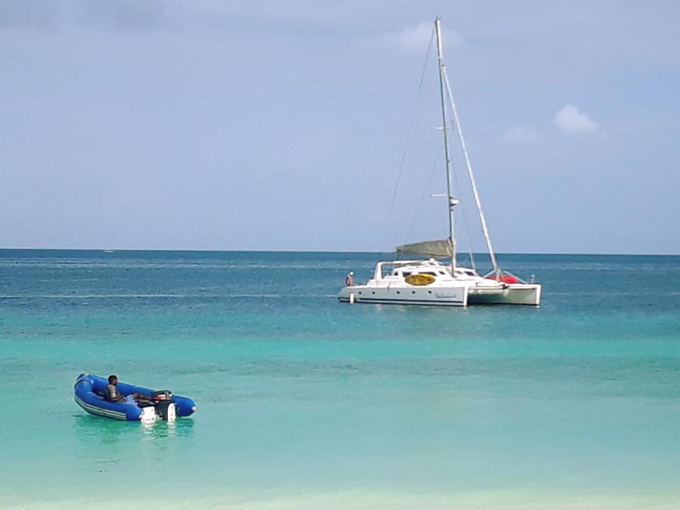 Voyage 500 | Walkabout