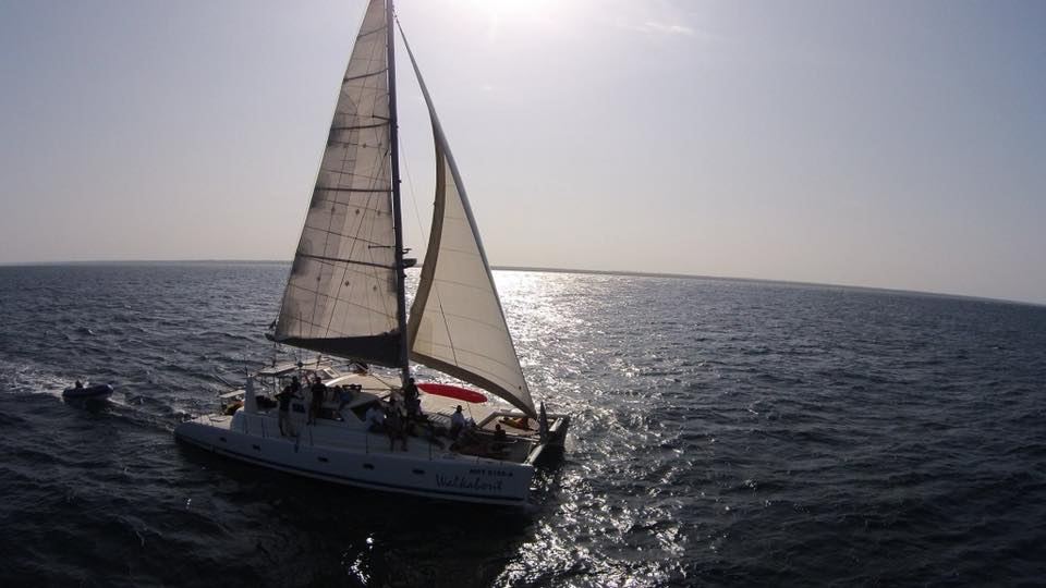 Voyage 500 | Walkabout