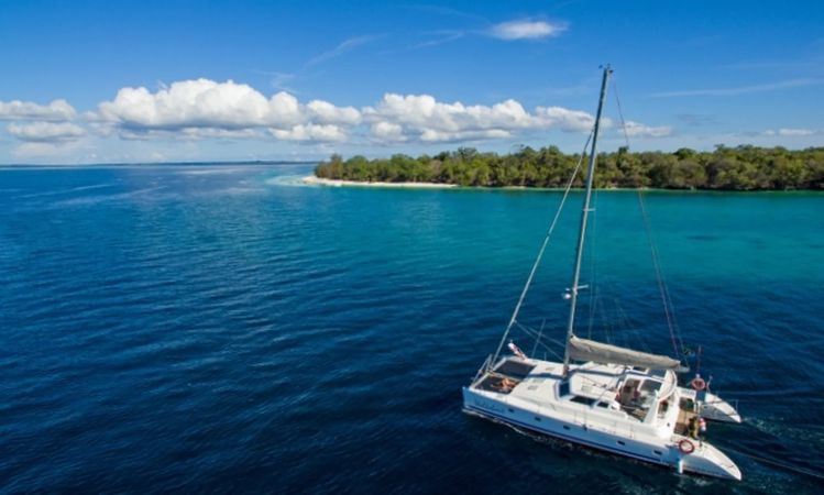 Voyage 500 | Walkabout