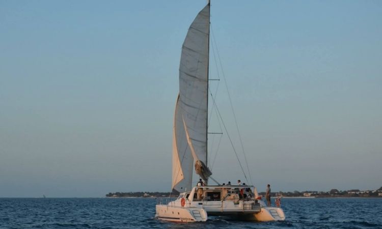 Voyage 500 | Walkabout