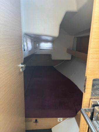 Elan 320 | Optimus