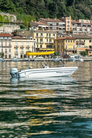 Ranieri 17 | Shark Uno