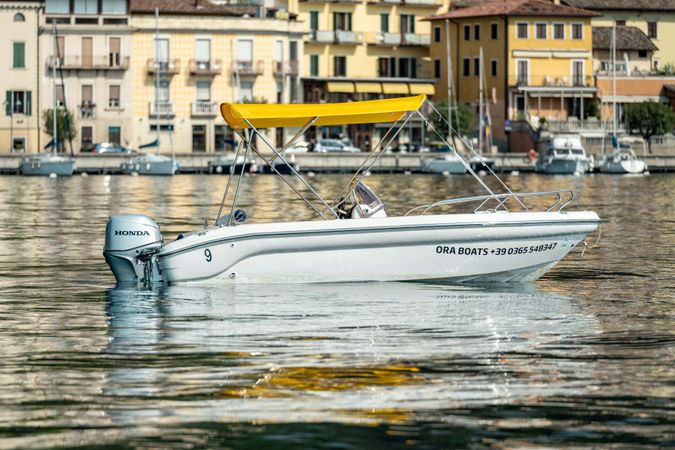 Ranieri 17 | Shark Uno