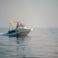 Beneteau Flyer 5.5 | Sun Deck Uno