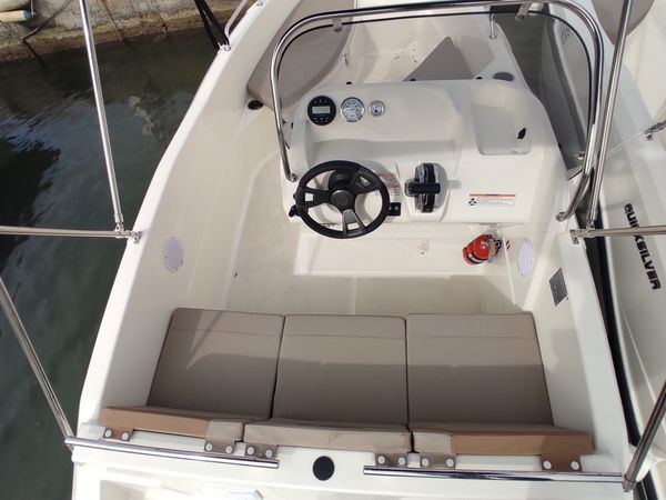 Quicksilver 455 | Theia