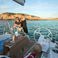 Bavaria Cruiser 36 | Carpe Diem