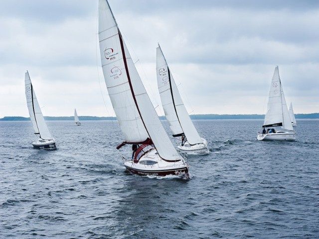 Northman Maxus 33.1 | Wind Rose