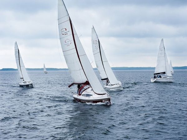 Northman Maxus 33.1 | Wind Rose