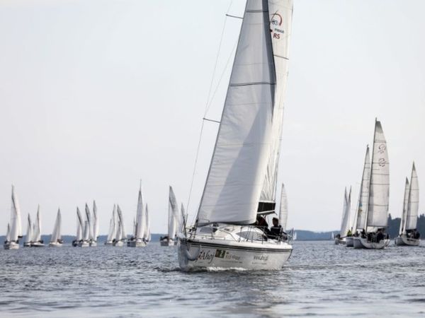 Northman Maxus 33.1 | Antares