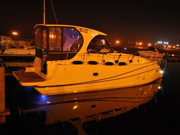 Tes 393 | Illuminatus