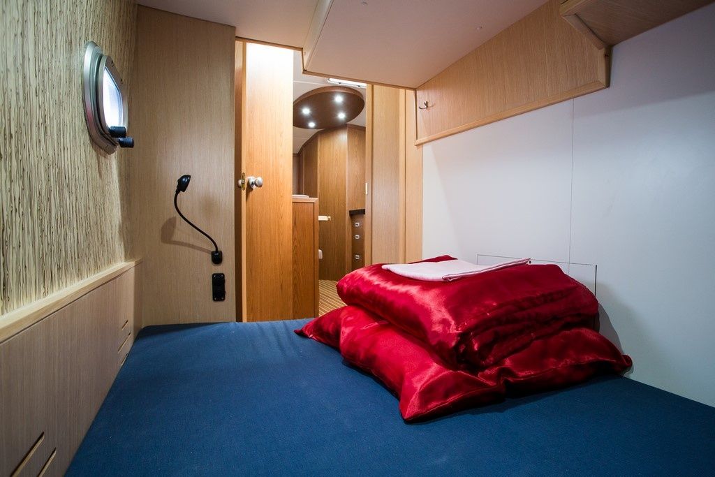 Tes 393 | Illuminatus