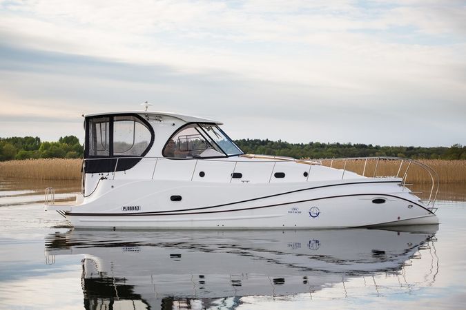 Tes 393 | Illuminatus