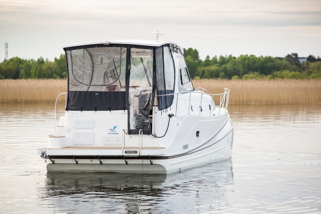 Tes 393 | Illuminatus