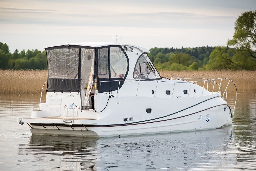 Tes 393 | Illuminatus