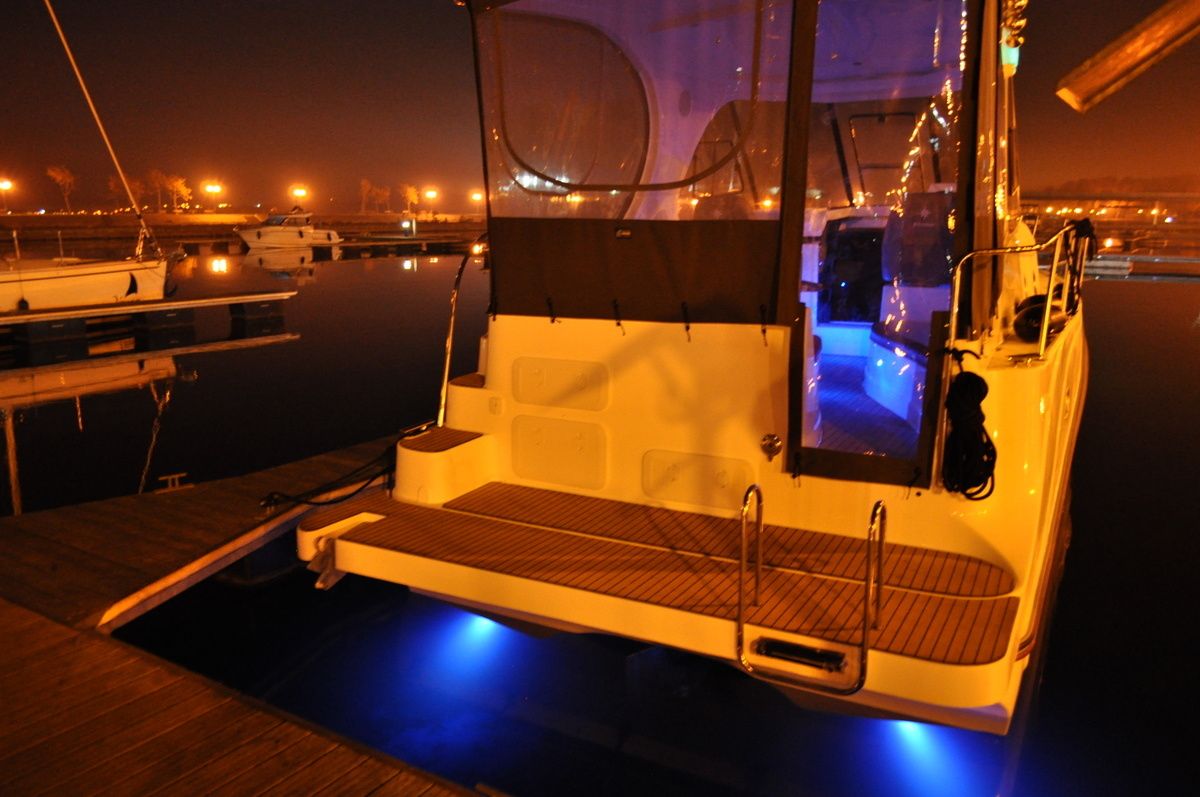 Tes 393 | Illuminatus