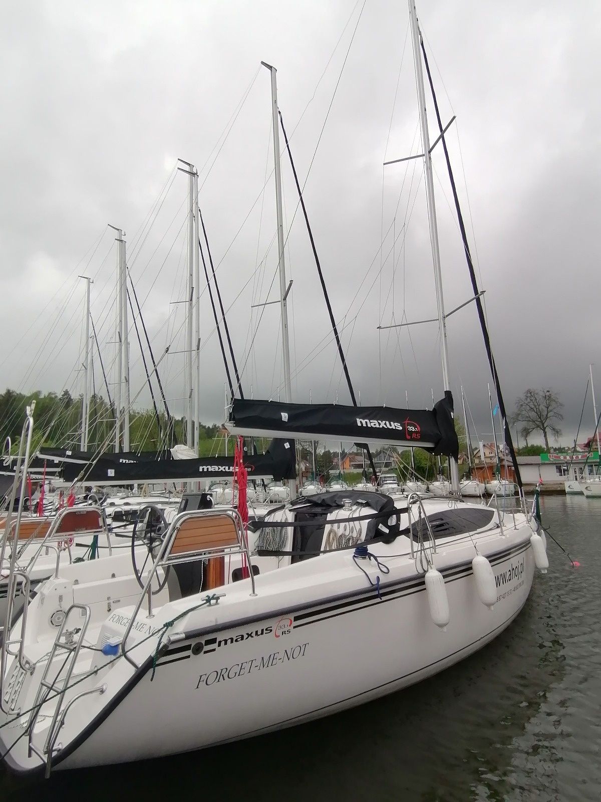 Northman Maxus 33.1 | Forget me not