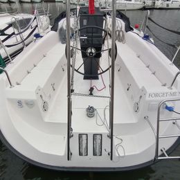 Northman Maxus 33.1 | Forget me not