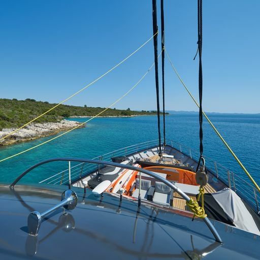 Custom Built 33 | Rara Avis