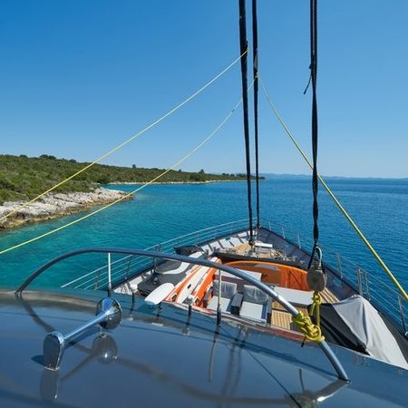 Custom Built 33 | Rara Avis