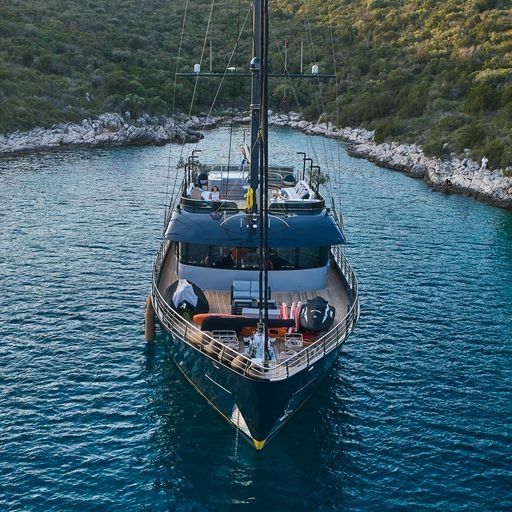 Custom Built 33 | Rara Avis