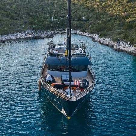 Custom Built 33 | Rara Avis