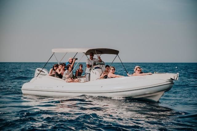 Scanner 710 | Envy Tender