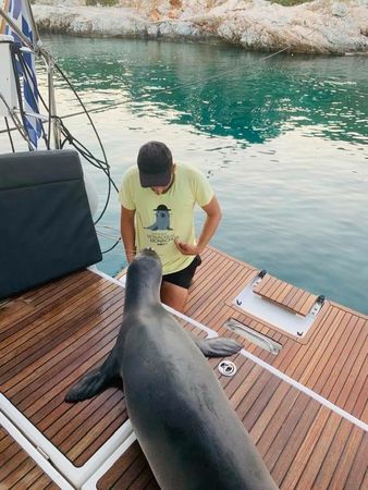 Jeanneau Sun Odyssey 440 | Celene